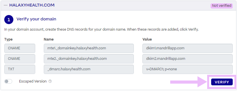 Domain-Verify-04.png
